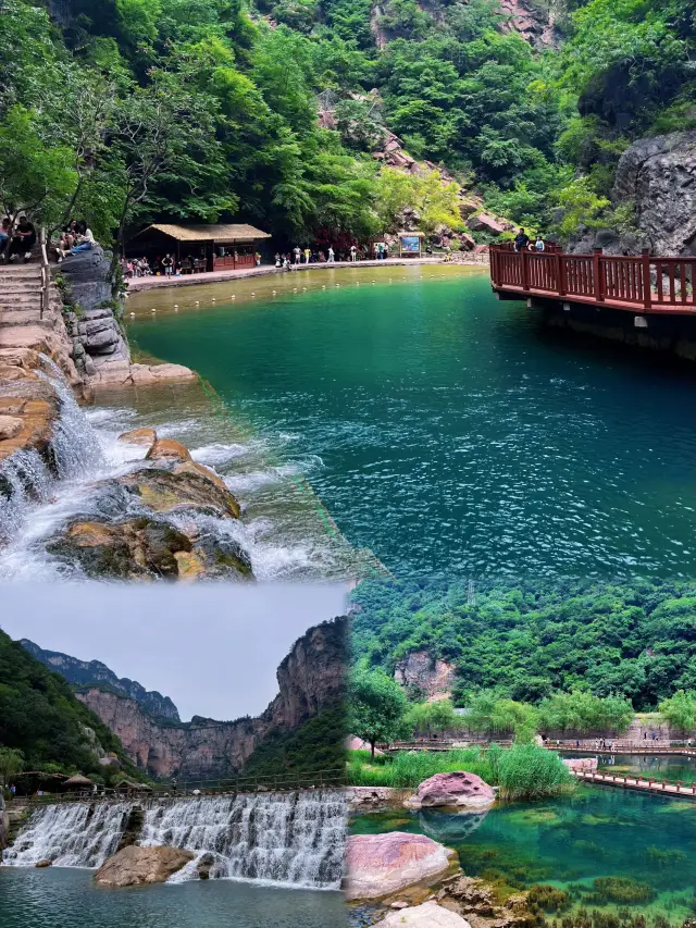 Zhongyuan Xiaojiuzhai! | Xinxiang Baoquan