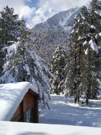 🌟 Pahalgam's Premier Stay: Welcomhotel Pine N Peak 🏔️