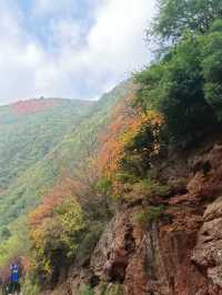 秦嶺好個秋——靈官峽