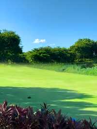 深圳！不要錢！城市中心公園天花板！！