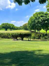 深圳！不要錢！城市中心公園天花板！！