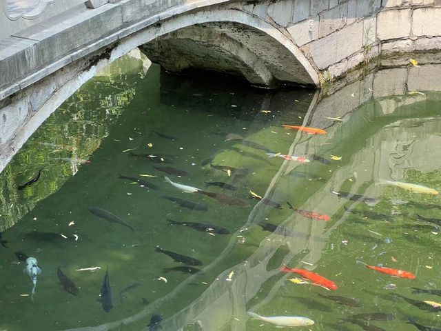濟南珍珠泉