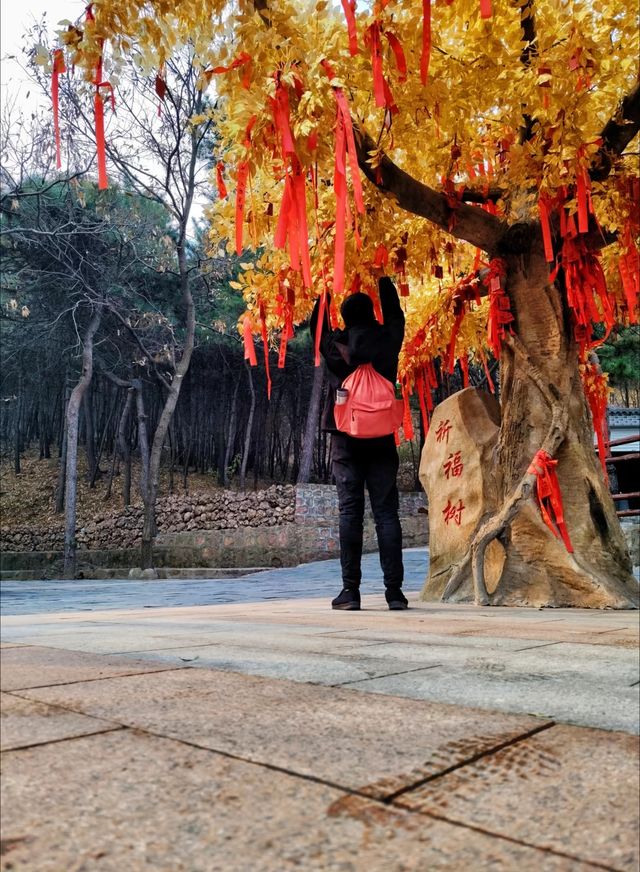 遷安山葉口 比目魚石