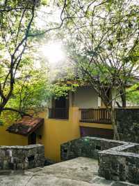 🌟✈️ Dambulla Dreams: Discover Sri Lanka's Amaya Signature! 🏨🌴
