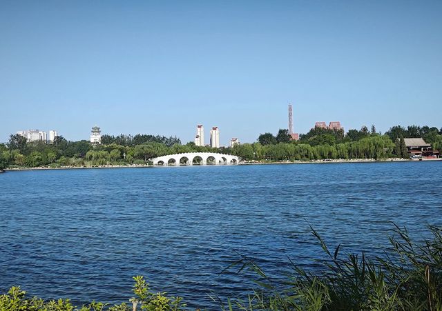 天津夏日賞荷好去處—天津水上公園。