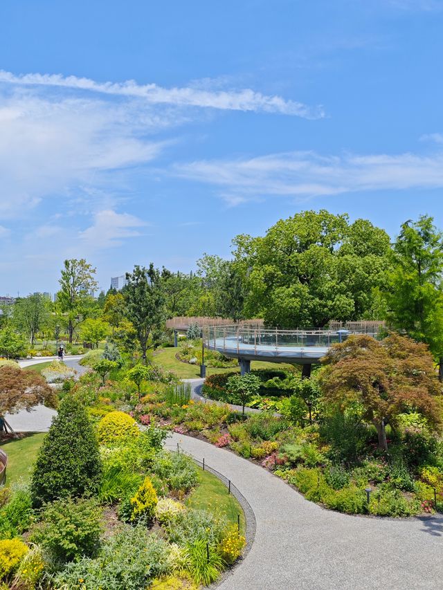 來上海植物園，獨享一整個北區啦!