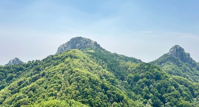 春意盎然！沂蒙山雲蒙景區，避暑新選擇！