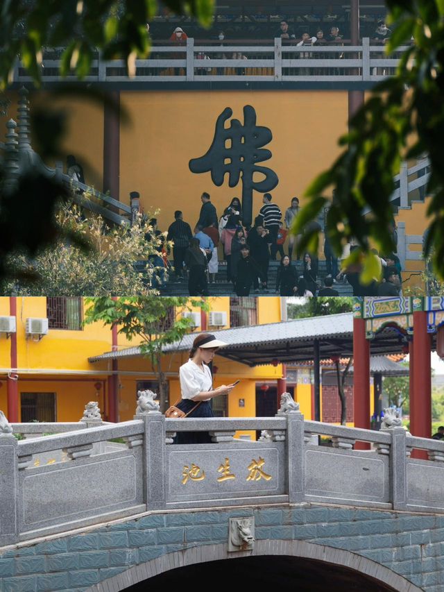 為了打卡這座古寺，特意來了趟維港灣。