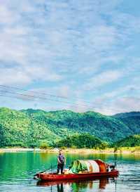 原始森林公園，絕美之旅
