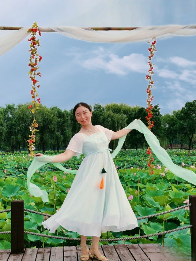 與夏同行，在固城湖無邊荷塘！！！