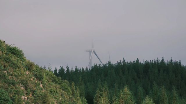 個舊蓮花山| 一場與自然的浪漫邂逅～