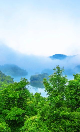 하이난의 숨겨진 낙원을 탐험하다: 열대 우림 속 '발리' 비밀 호텔