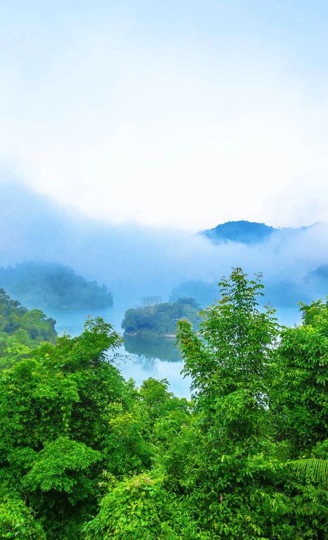 探秘海南隱世桃源：熱帶雨林中的“巴厘島”秘境酒店