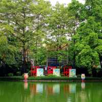 尋訪-韶城《叁拾玖》雨中漫步“西橋公園”
