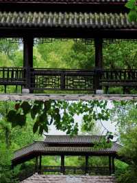 合肥Citywalk丨綠色的濱湖國家森林公園