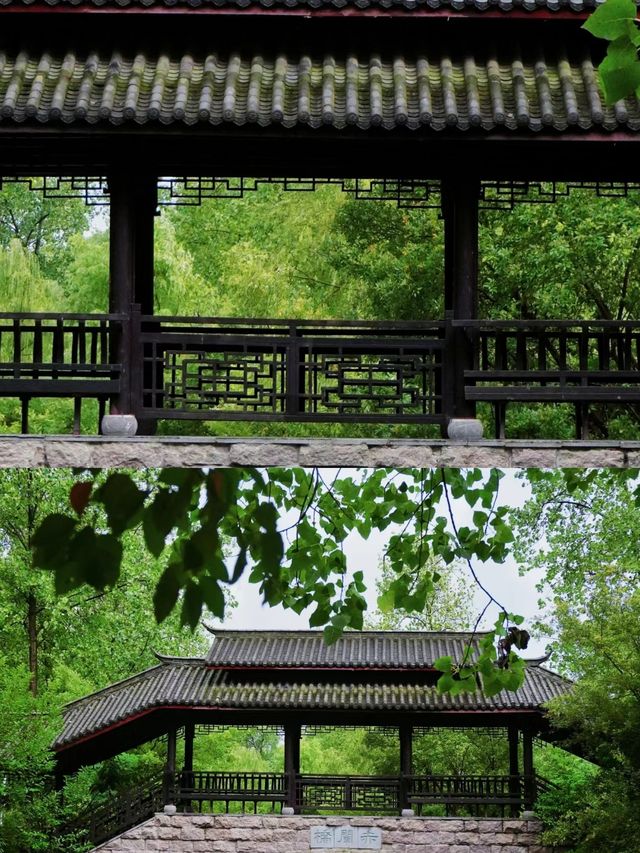 合肥Citywalk丨綠色的濱湖國家森林公園
