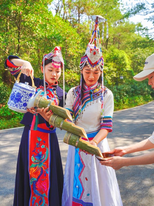 江西德興避暑納涼好地方：大茅山梧風洞