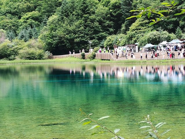 自駕四川（二十五）：五花海的風韻