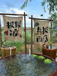 沈陽｜稻夢空間攻略