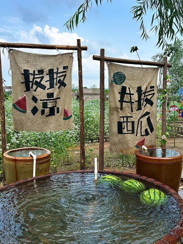沈陽｜稻夢空間攻略