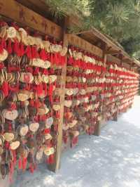 山海之間威海赤山｜山東暑假寶藏避暑聖地