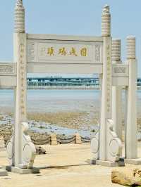 夏日再出發深圳，機場附近的寶安紅樹林公園我拍到了人生瞬間畫