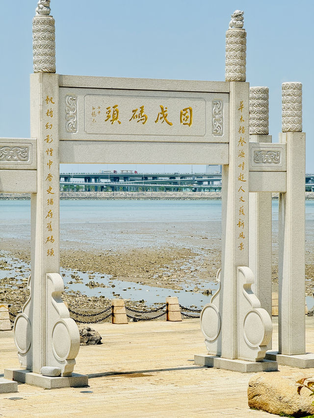 夏日再出發深圳，機場附近的寶安紅樹林公園我拍到了人生瞬間畫