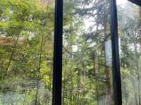 佛山兩日躺平周邊遊-馬頭山森林度假區
