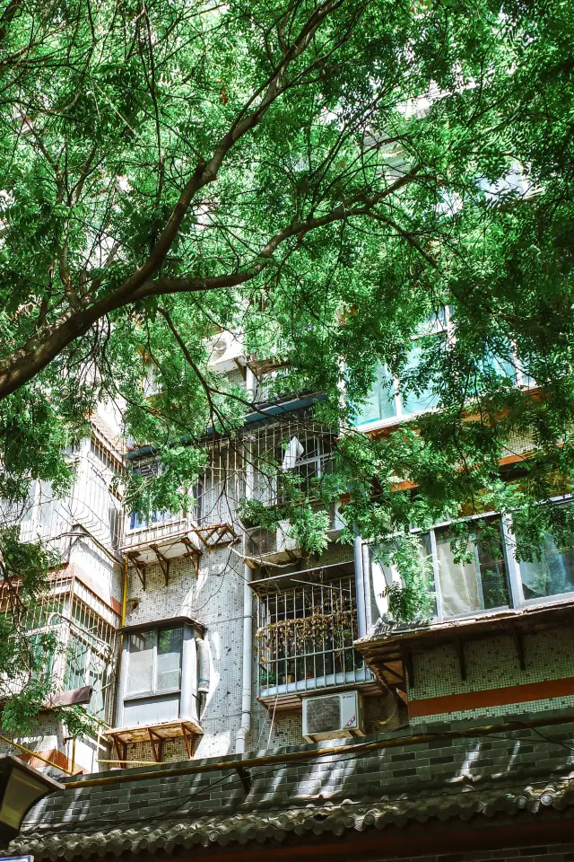 西安｜適合Citywalk超棒街道在這裡。