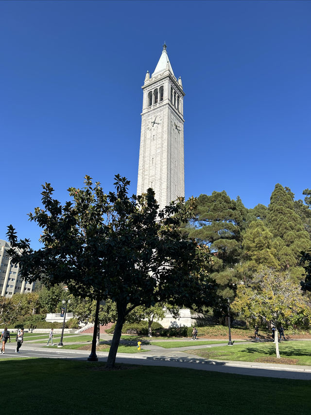 加州伯克利大學。