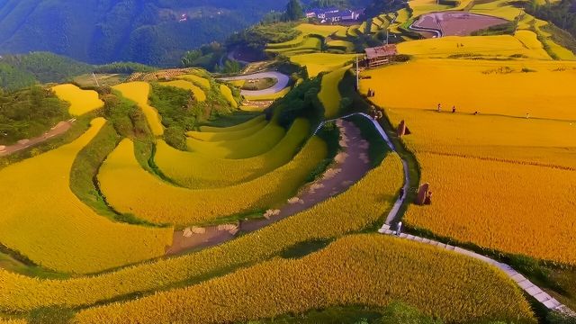 遂昌，是仙境一般吧！。