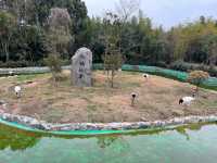 富陽｜看動物、玩樂園、觀演出、坐火車，一票全享。