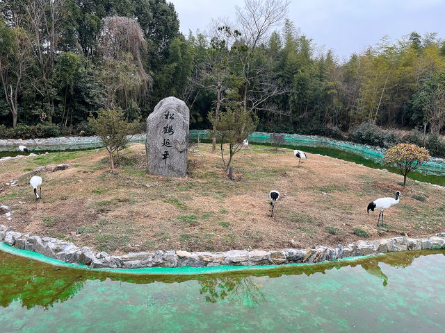 富陽｜看動物、玩樂園、觀演出、坐火車，一票全享。