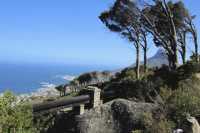 Table Mountain National Park 遊玩攻略。