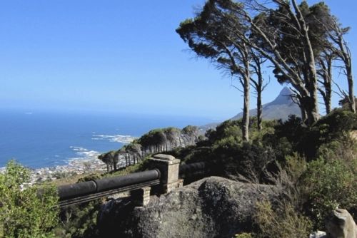 Table Mountain National Park 遊玩攻略。