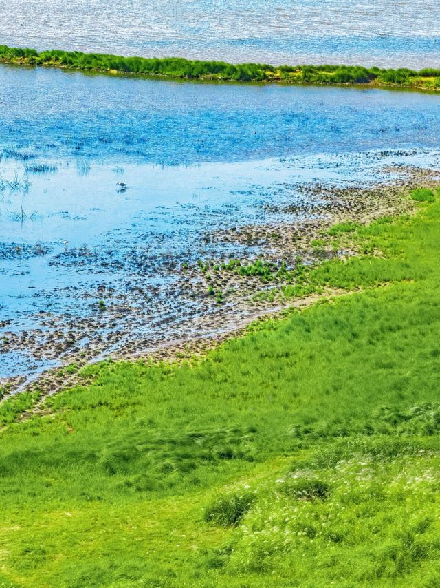 江西永修南昌後花園的草海秘境。