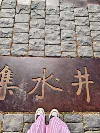 超級寶藏拍照打卡地。