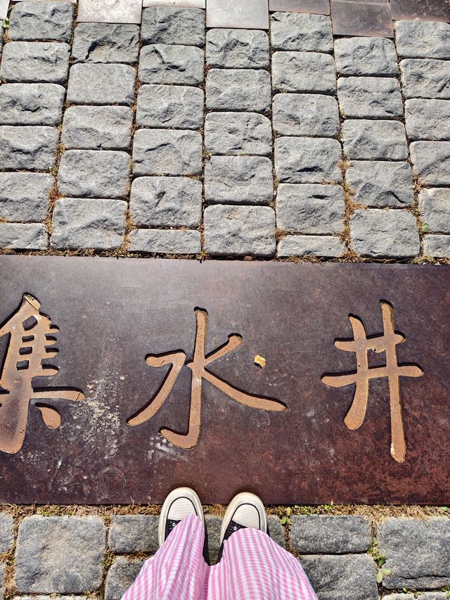 超級寶藏拍照打卡地。
