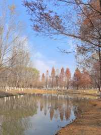 浐灞濕地公園|景美景奇生態佳之地。