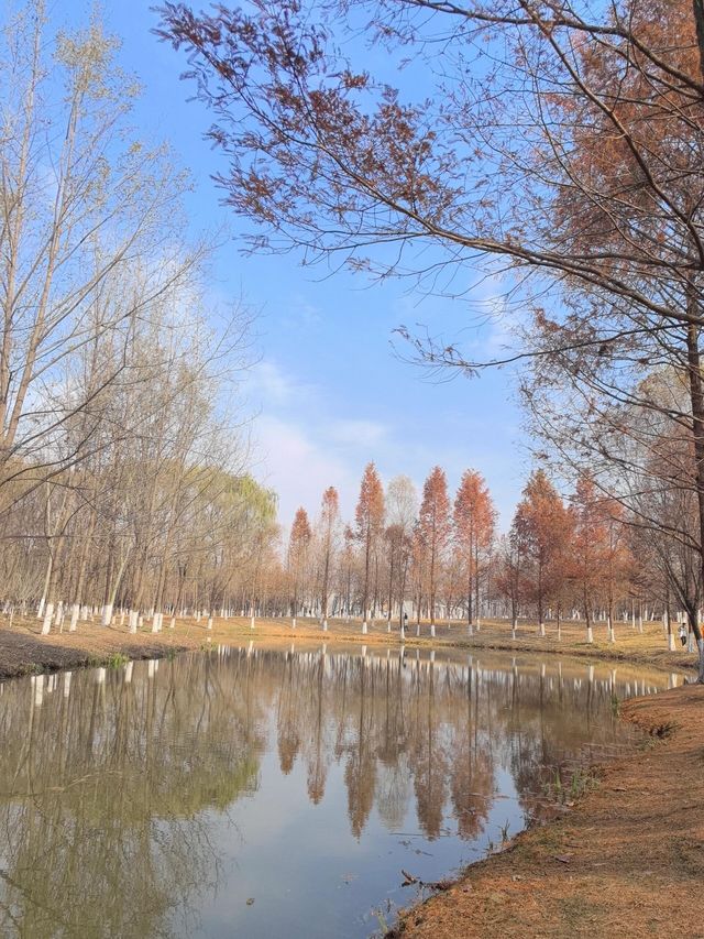 浐灞濕地公園|景美景奇生態佳之地。 浐灞濕地公園|景美景奇生態佳之地。