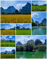 雙流義渡亭，遇龍河畔稻花香。。