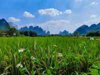 雙流義渡亭，遇龍河畔稻花香。。
