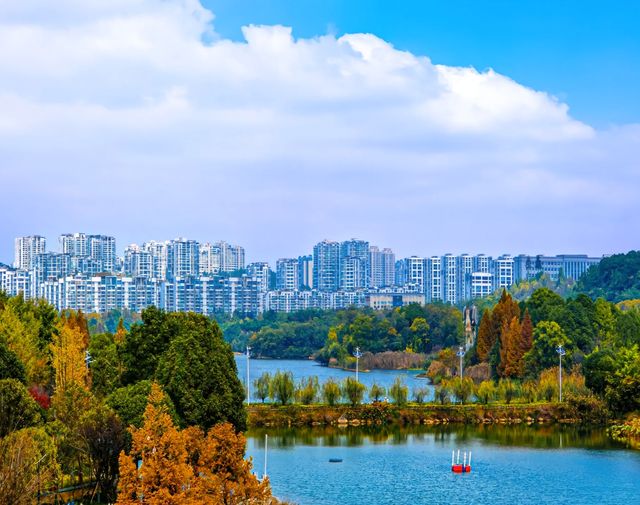 遇見觀山湖公園，邂逅城市中的自然之美 。