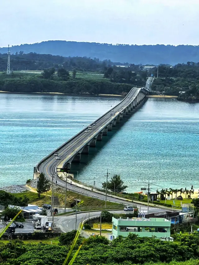 일본 가을 여행 완벽 가이드 바로 가져가세요.