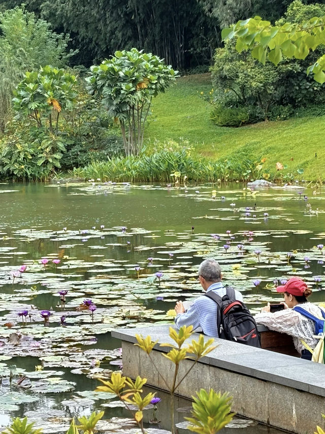 誰說廣州沒秋天？去雲溪植物園撿秋啦！