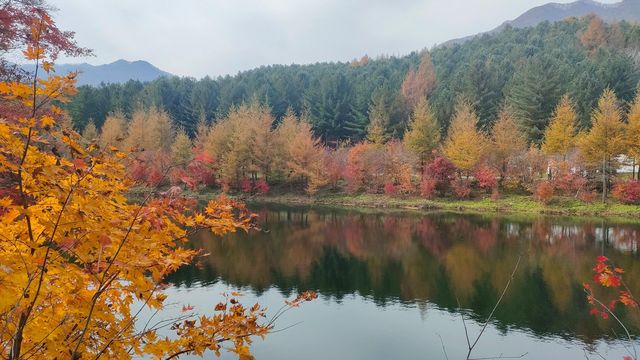本溪老邊溝｜楓葉會帶來秋天的顏色。