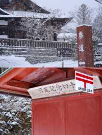 A Snowy Visit to Nikko Toshogu Shrine