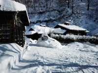 Experience the Enchanting Snowy Wonderland of Japan