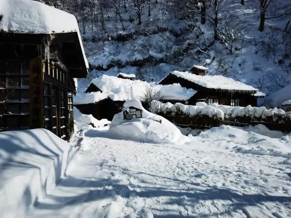 Experience the Enchanting Snowy Wonderland of Japan