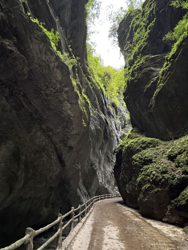 隴南2日遊 玩轉全景不走回頭路。